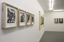 Quimera Galería